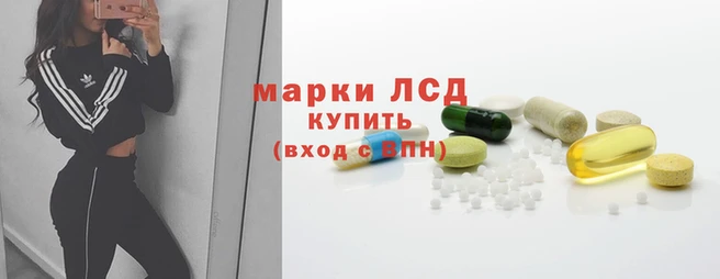 гашик Абаза