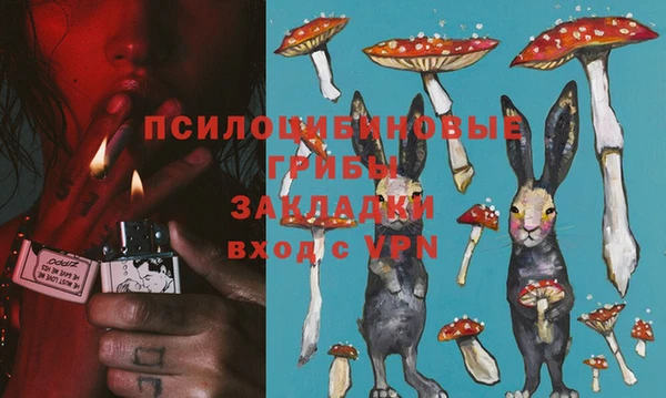 гашик Абаза