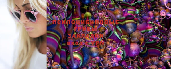 гашик Абаза