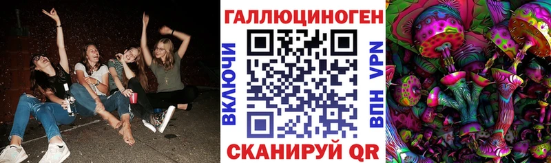 mega ONION  продажа наркотиков  Алапаевск  Псилоцибиновые грибы Psilocybe 