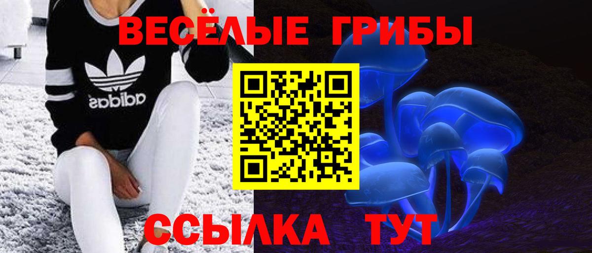 Галлюциногенные грибы мухоморы Алапаевск